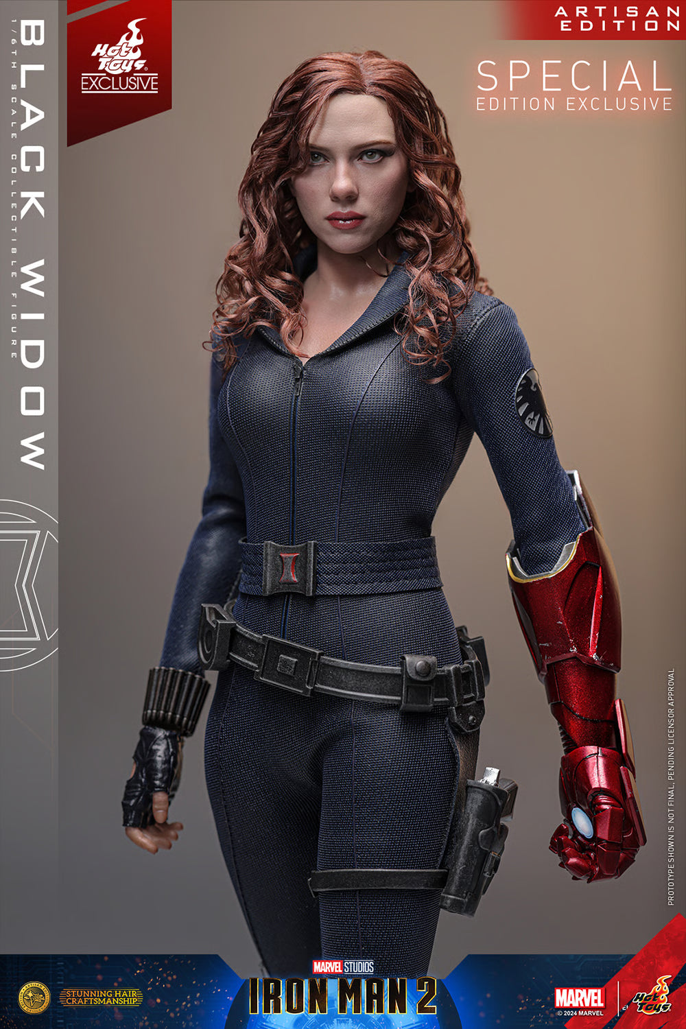 Black Widow (Artisan Edition) (Special Edition)