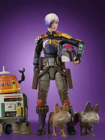 Sabine Wren and Chopper